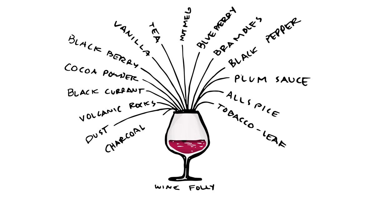 aromatai-raudonajame vine-iliustracija-pagal vynuoges
