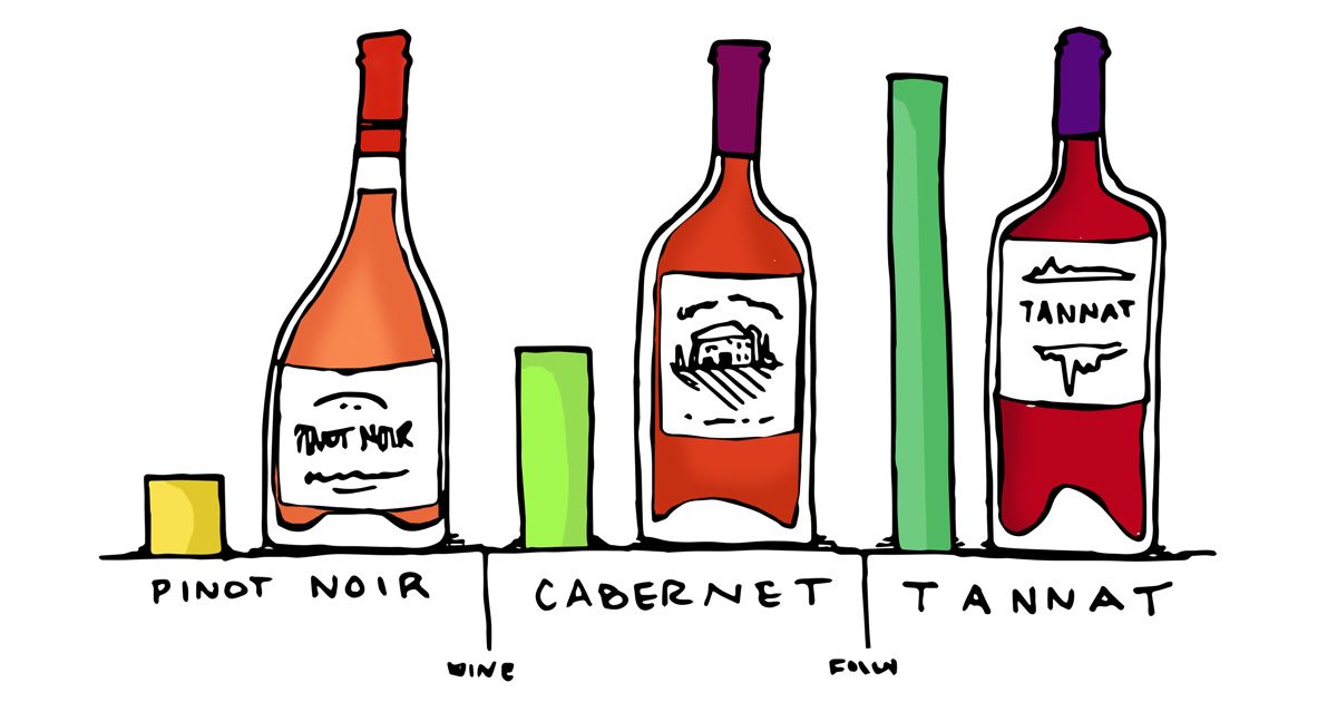 יין אדום-טאנין-רמת-פינו-קברנה-טאנט-איור