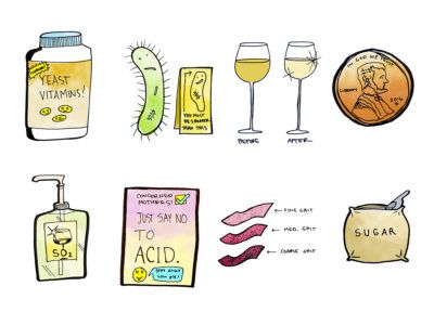 vyno priedai