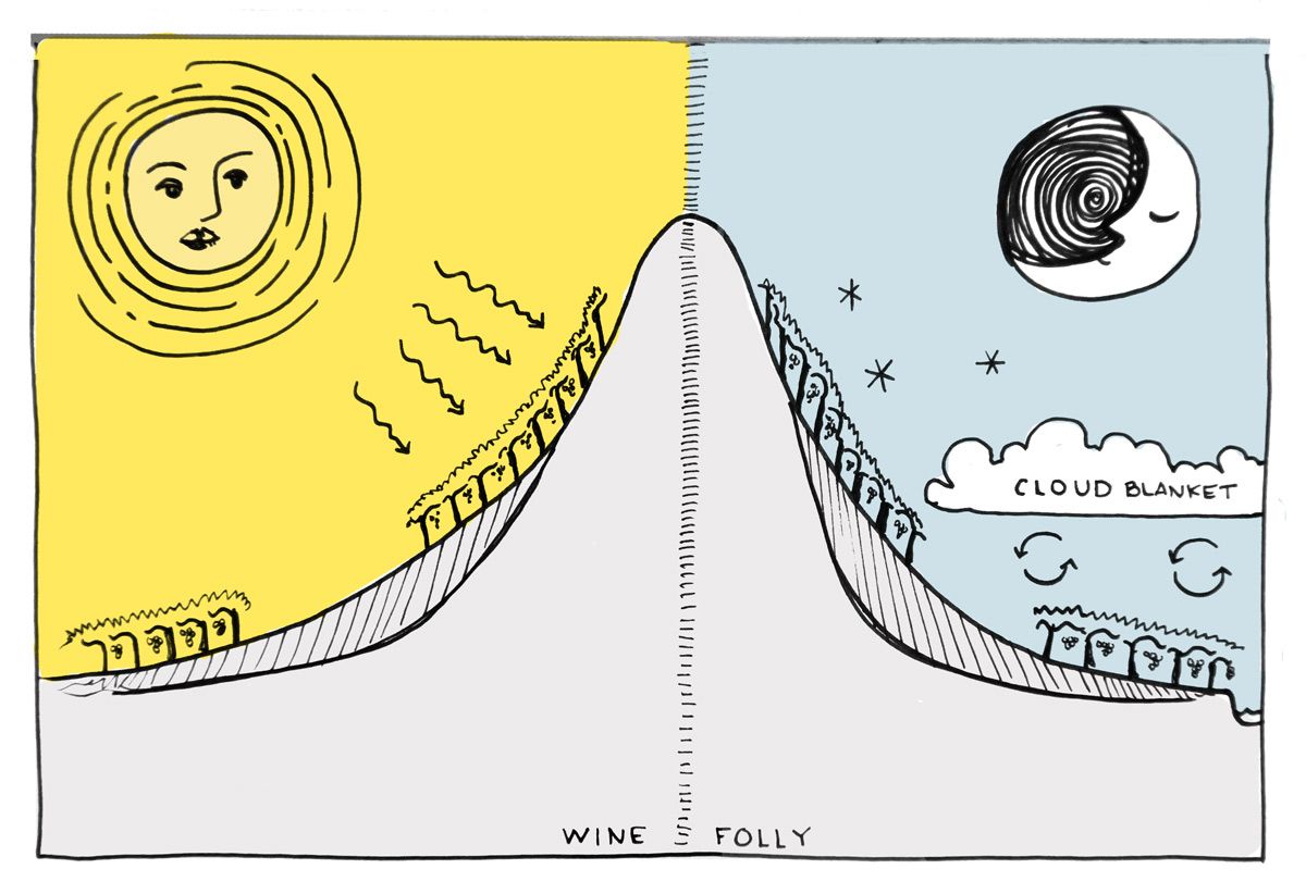 vino-podnebje-višinska karta-neumnost