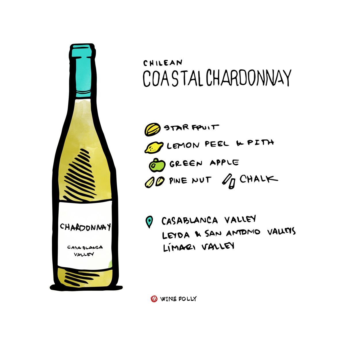 Chardonnay costero de las regiones de Chile - ilustración de Wine Folly