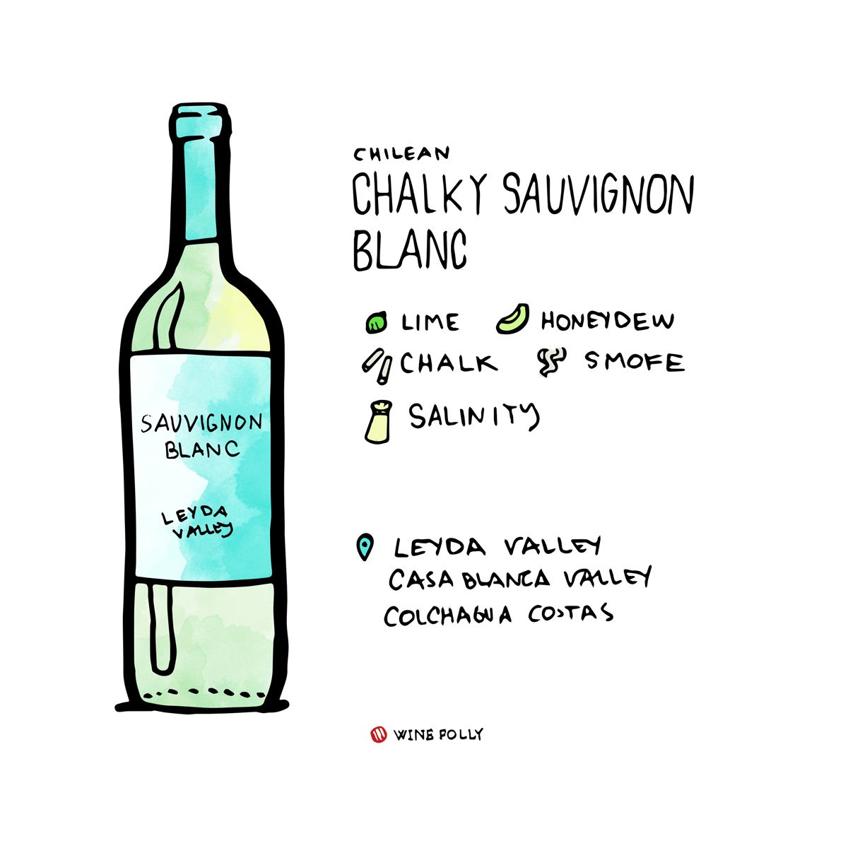 čilenski-sauvignon-blanc-steklenica-vinska folija