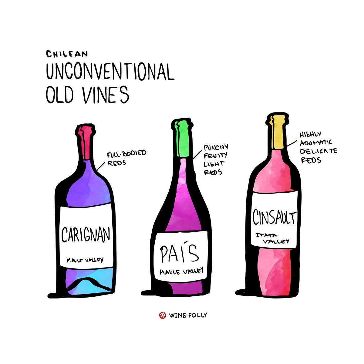 pais-carginan-cinsault-chile-víno-bláznovstvo