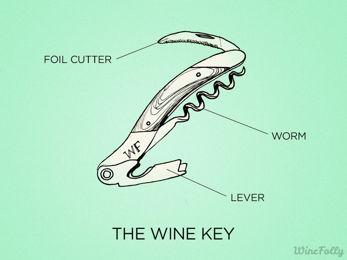 vyno-rakto-lauktuvių-draugo dalys