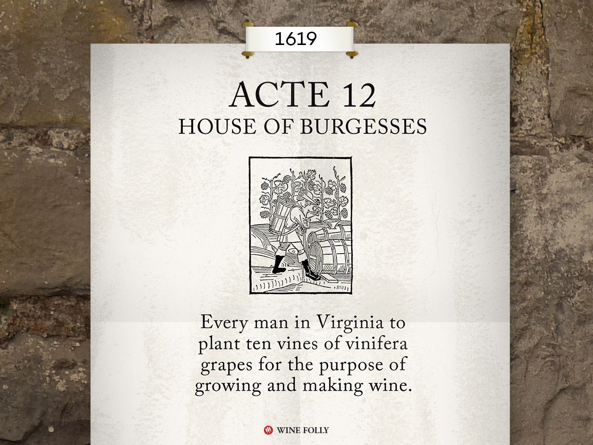 1619 m. 12 d. Buvo reikalaujama, kad visi namų ūkio vyrai pasodintų 10 vynmedžių vynui gaminti Virdžinijoje