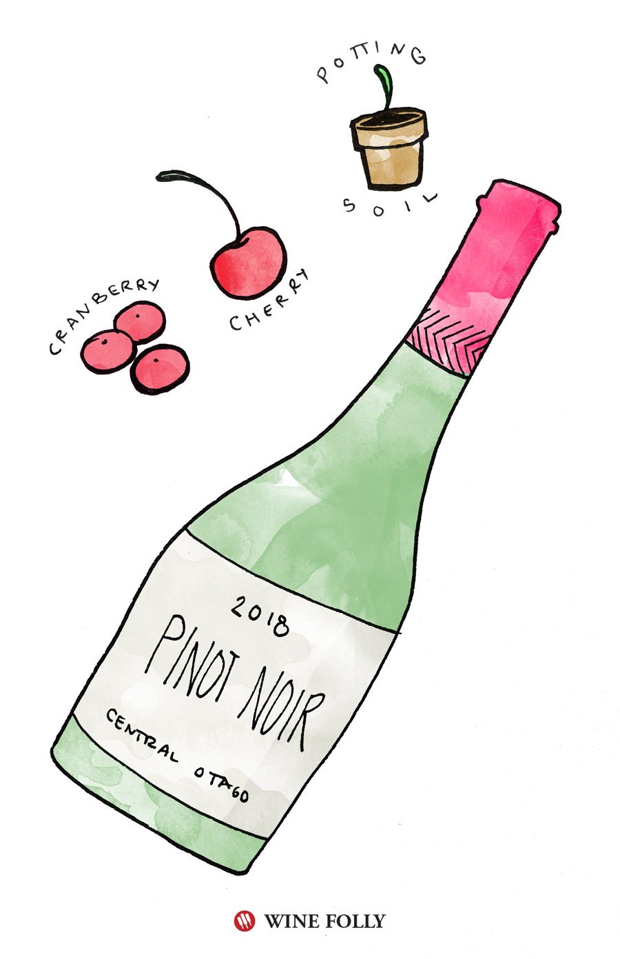 Pinot Noir ilustrācija: Wine Folly