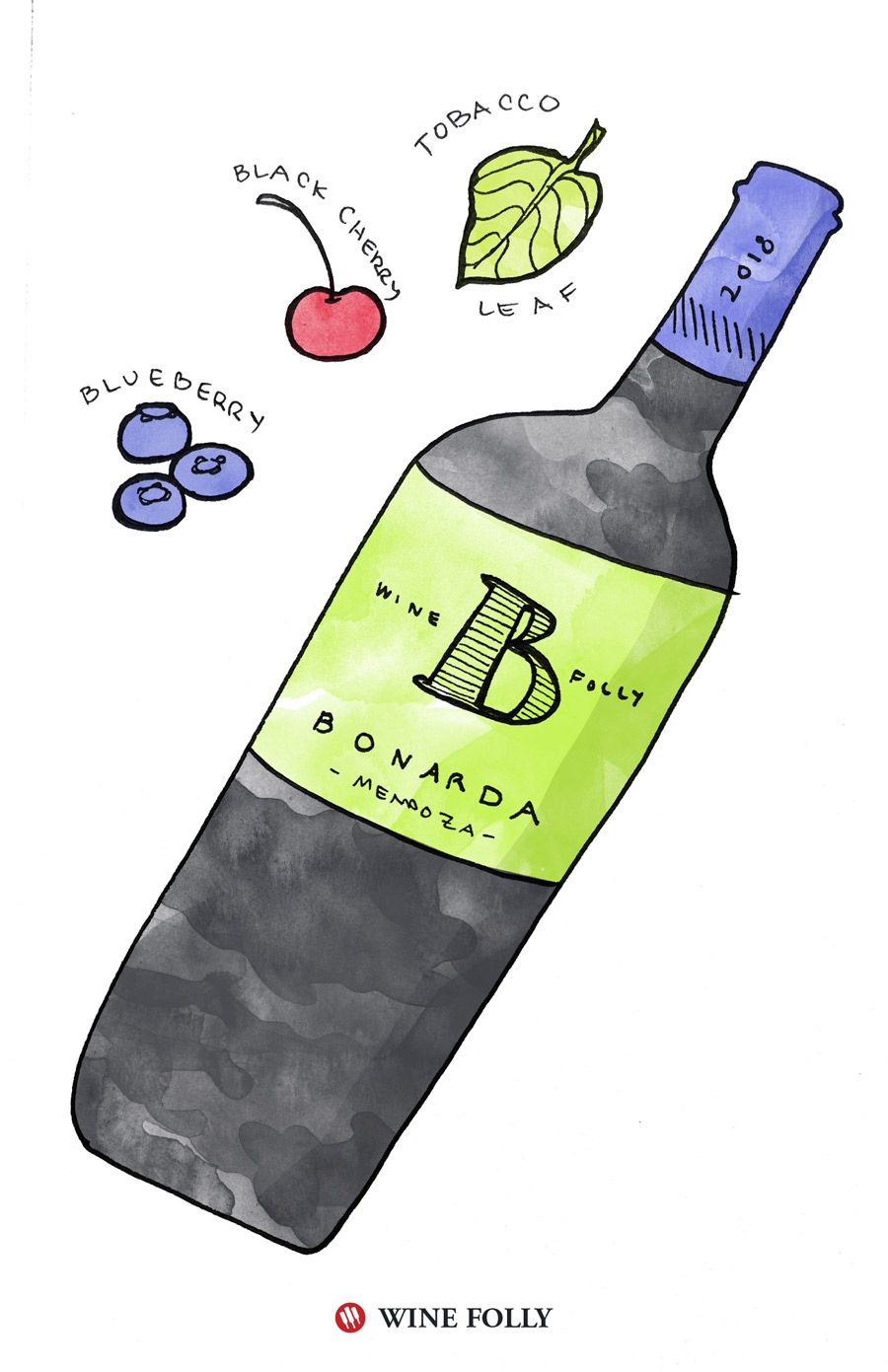 Bonarda vīna ieteikums Wine Folly pavasara ilustrācijai