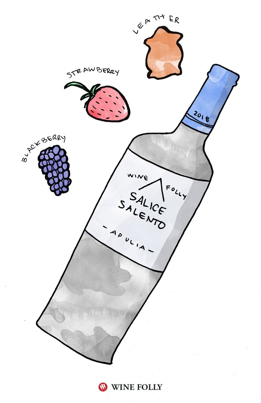 Salice Salento Degustācijas piezīmes Wine Folly ilustrācija