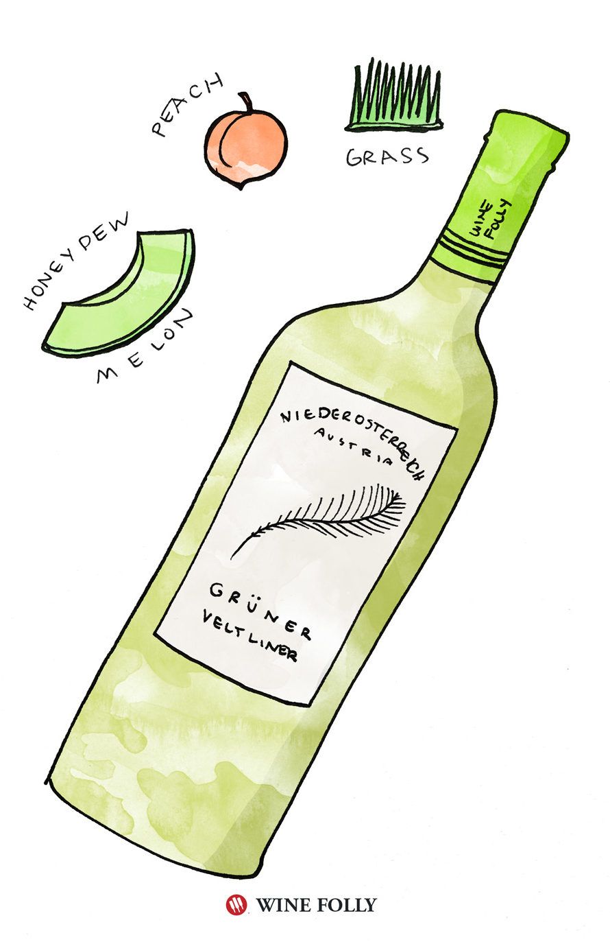Gruner Veltliner degustācijas piezīmes Wine Folly ilustrācija