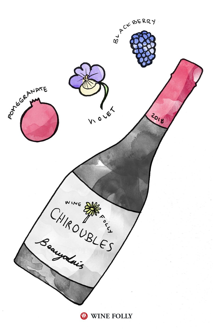 Beaujolais Degustācijas piezīmes Wine Folly ilustrācija