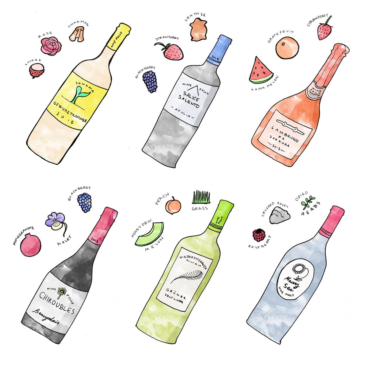 6 vīna pudeles, kas ilustrētas ar Wine Folly degustācijas piezīmēm