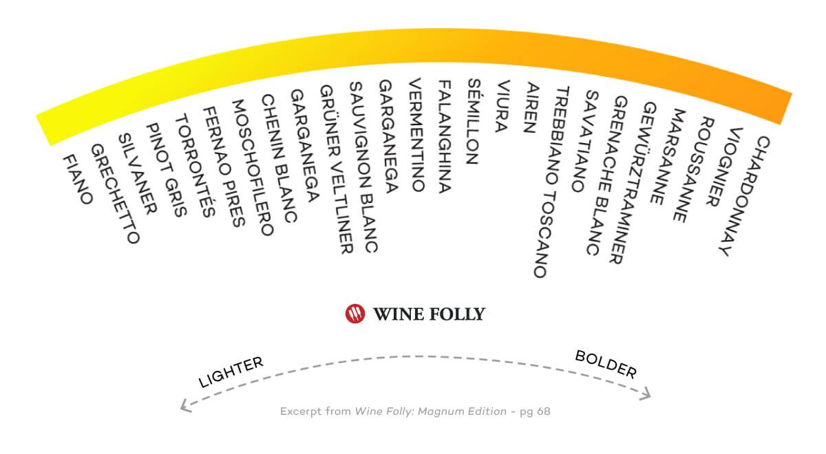 Rôzne druhy bielych vín organizované organizáciou Body - infografika spoločnosti Wine Folly