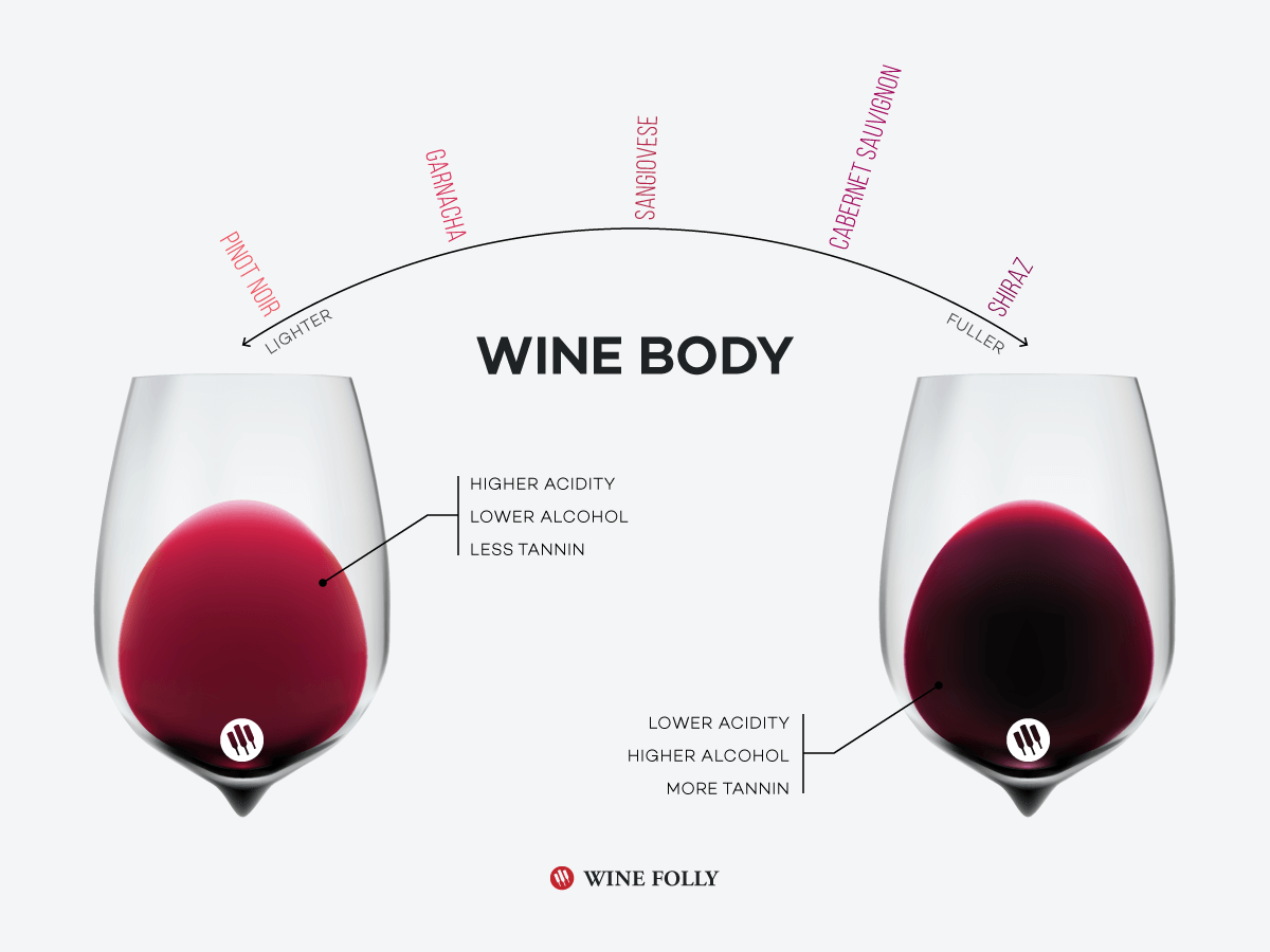 víno-telo-infografika-vinofolly-2