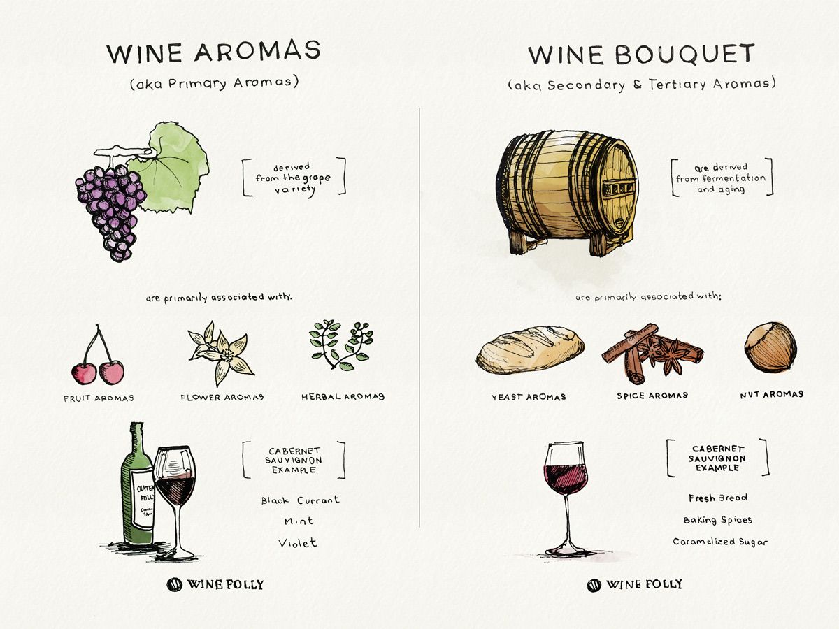 Os termos aroma de vinho