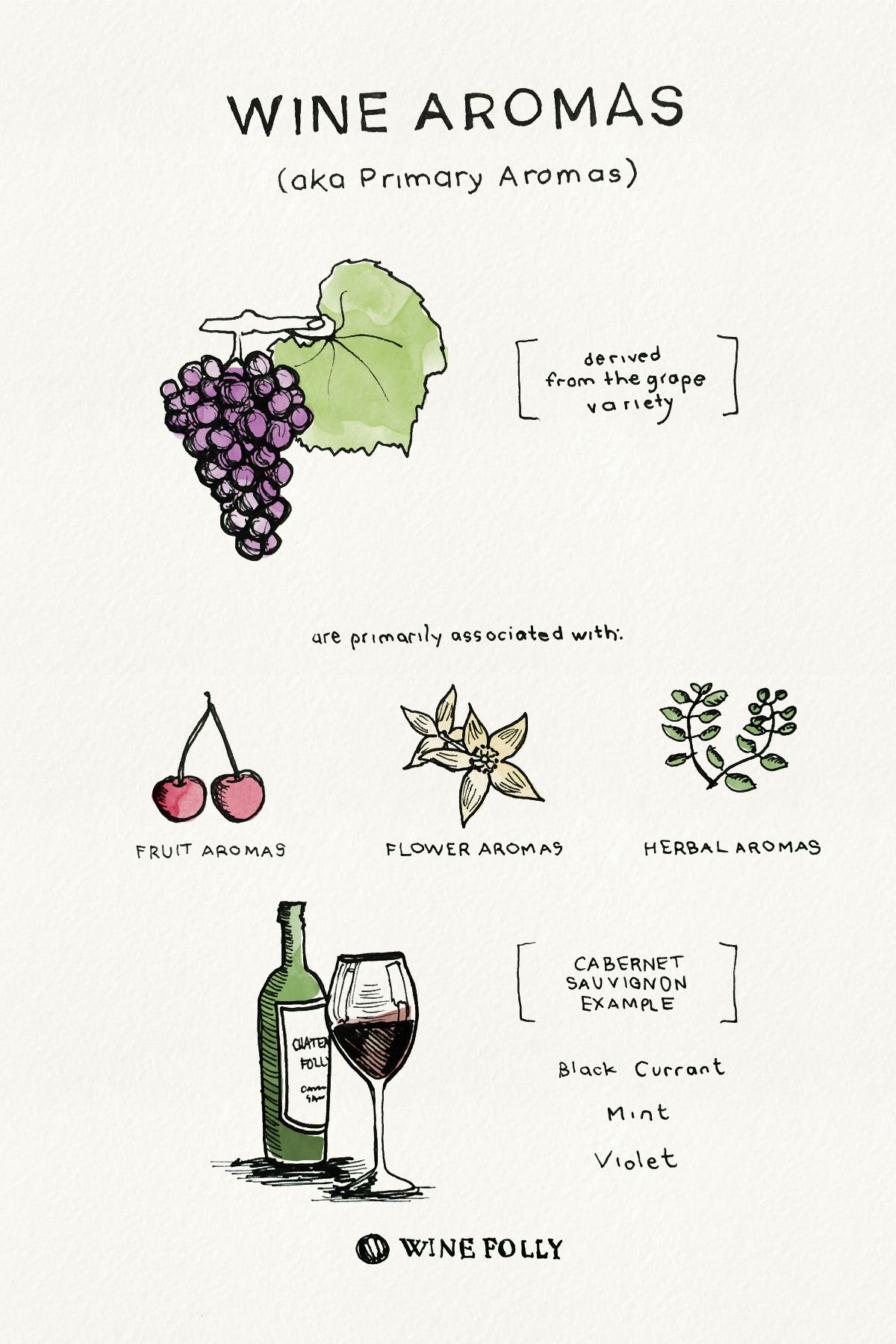 Винени аромати - Основни аромати - рисунка от Wine Folly