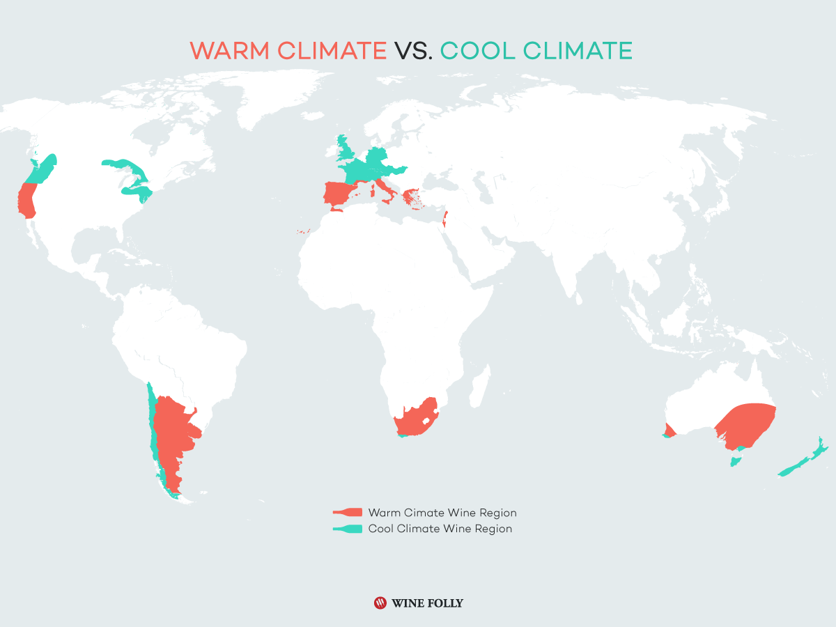 Vinske regije Warm Climate vs. Cool Climate