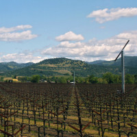 Moinhos de vento ou ventiladores em vinhedos