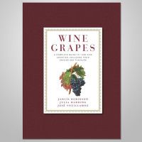 препоръки за вино с грозде за вино