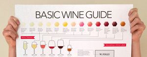 מדריך יין בסיסי