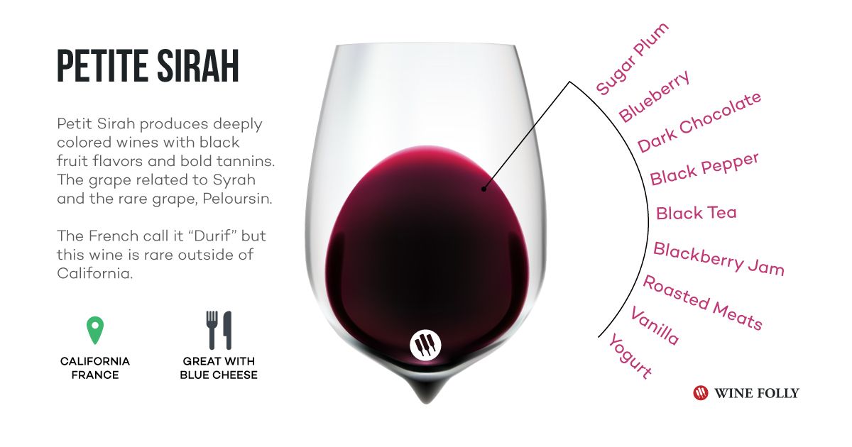 Notes de dégustation infographiques sur le vin Petite Sirah - Wine Folly