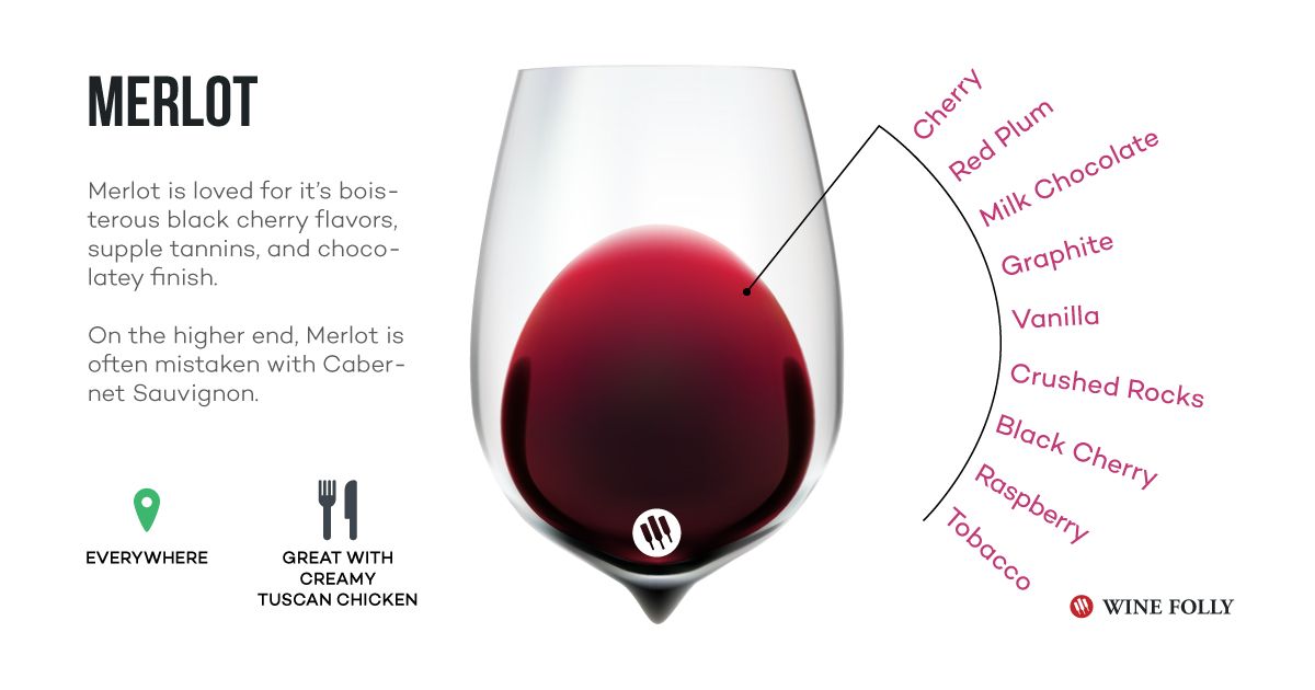 „Merlot“ vyno infografinės degustacijos užrašai - „Wine Folly“