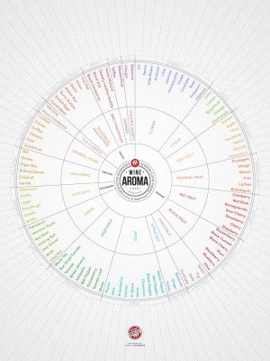 Wine Aroma Flavor Chart Wheel от Wine Folly
