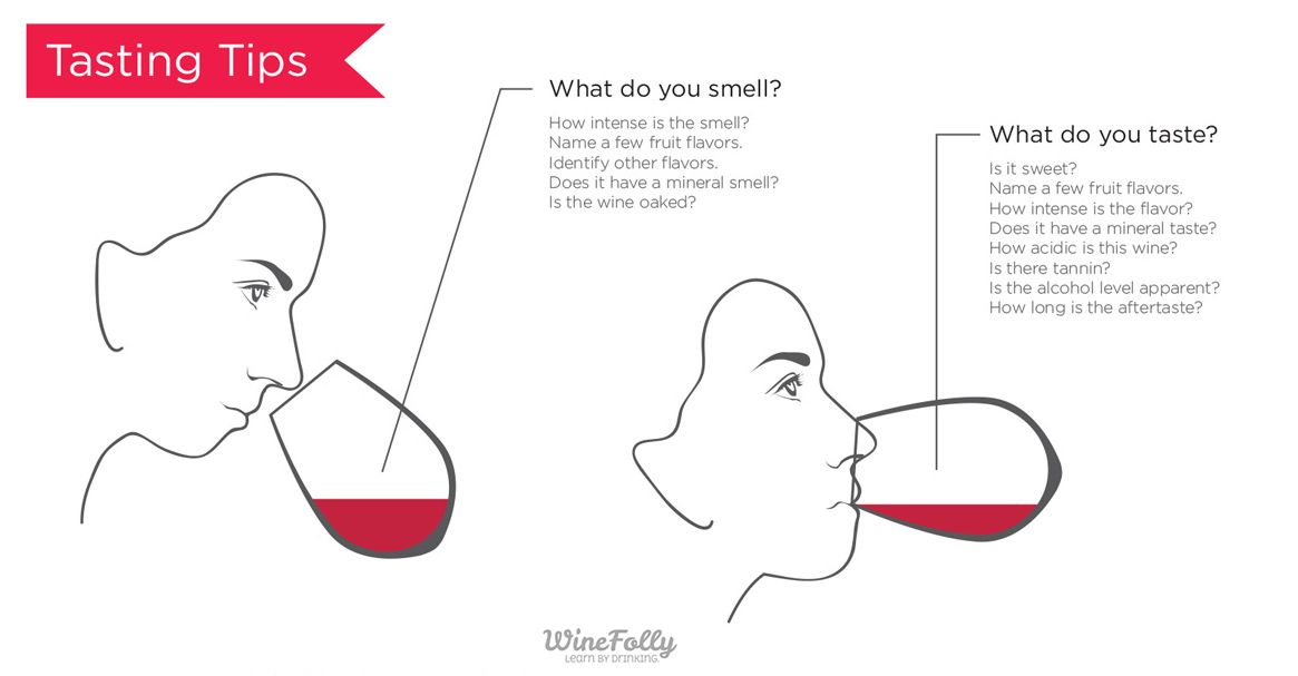 Kako okusiti vino: nasveti in triki