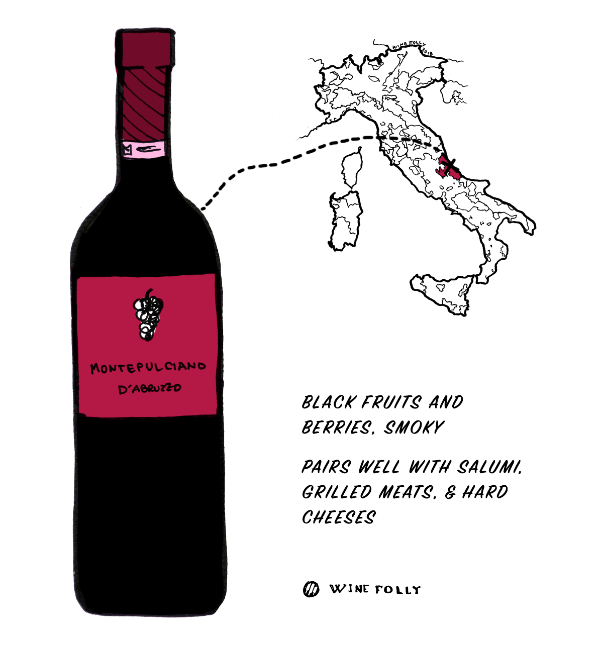 Montepulciano-üzüm-şarap-illüstrasyon-winefolly