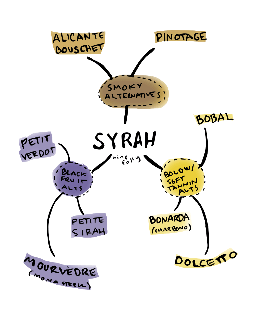 Excellentes alternatives au vin de Syrah - infographie par Wine Folly