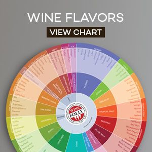 Tabla de sabores de vino Rueda de aromas