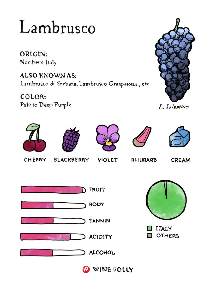 Chuťový profil vína Lambrusco s hroznovou ilustráciou Wine Folly