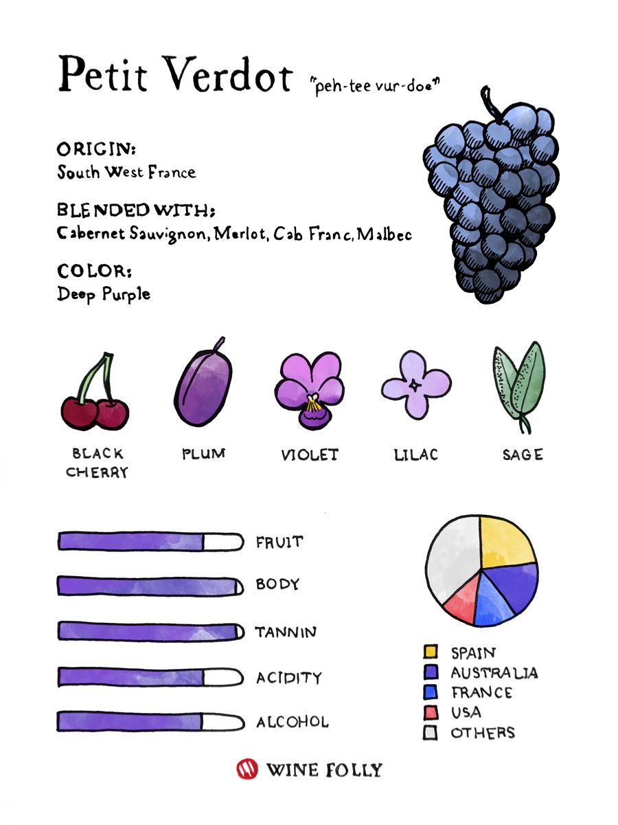 „Petit Verdot“ vynuogės „Wine Folly“ iliustruotas skonio profilis