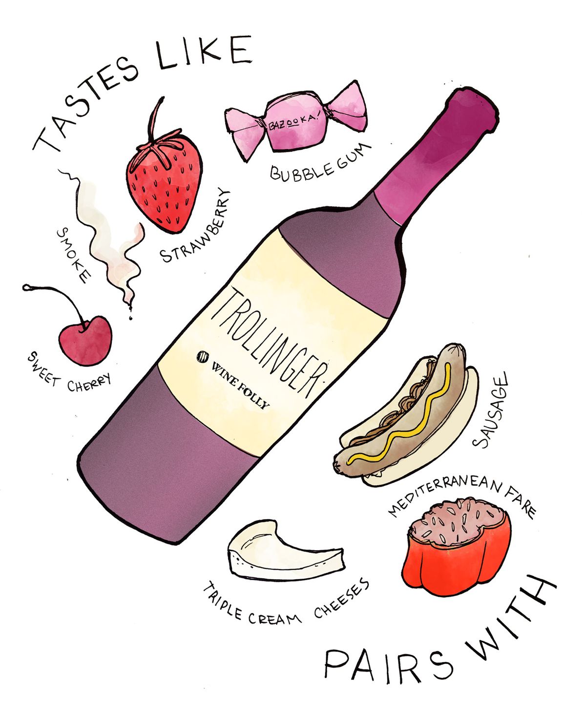 „Trollinger“ dar žinomas kaip „Schiava“ vyno degustacijos užrašai iš „Wine Folly“