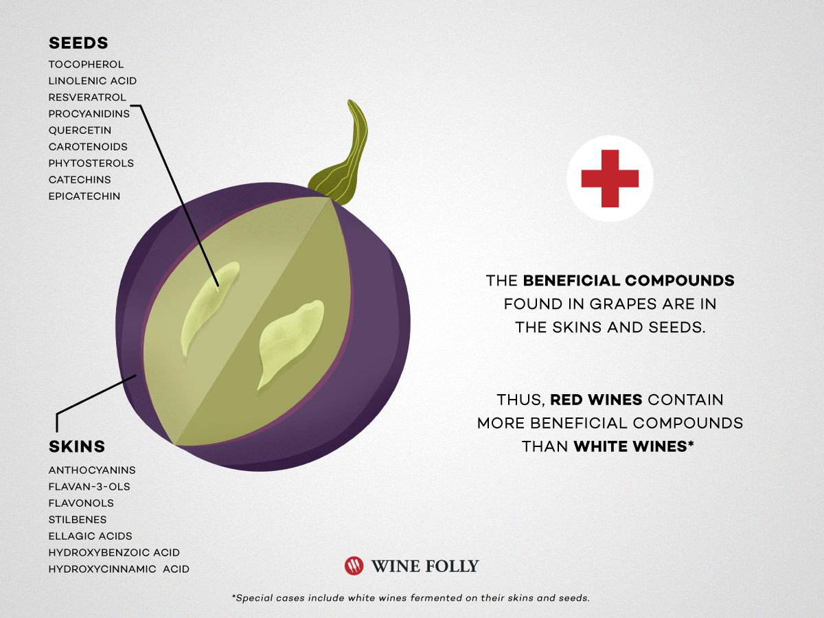 Vyno vynuogių išpjova su naudingais sveikatai junginiais, kuriuos išvardijo „Wine Folly“