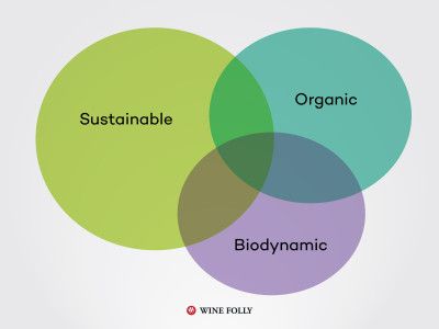 udržateľné-organické-biodynamické-víno