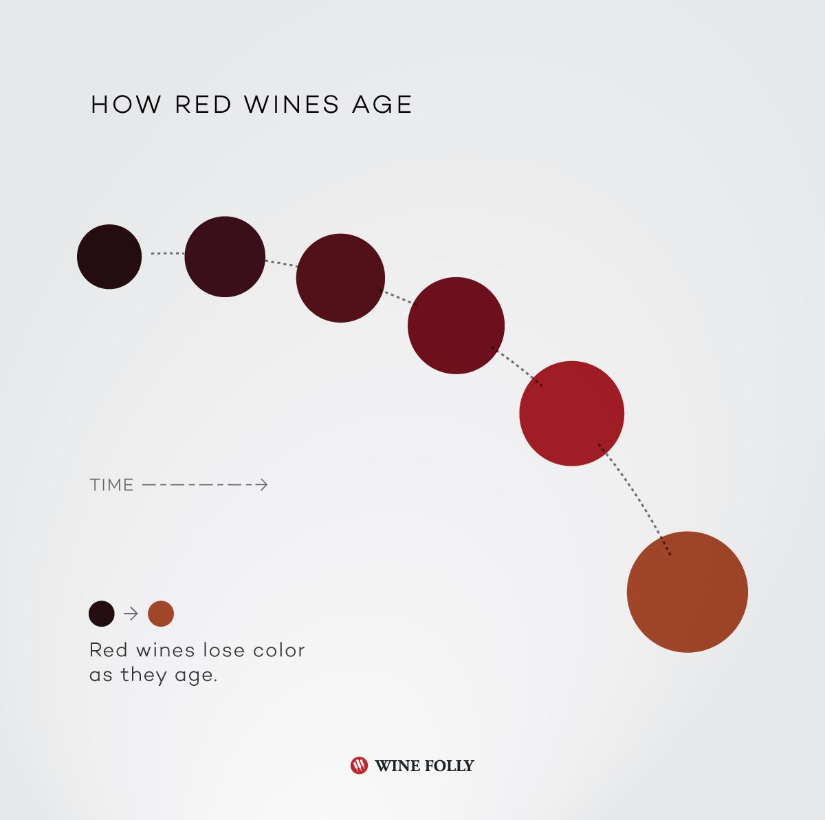 Ako starnú biele vína - infografika spoločnosti Wine Folly