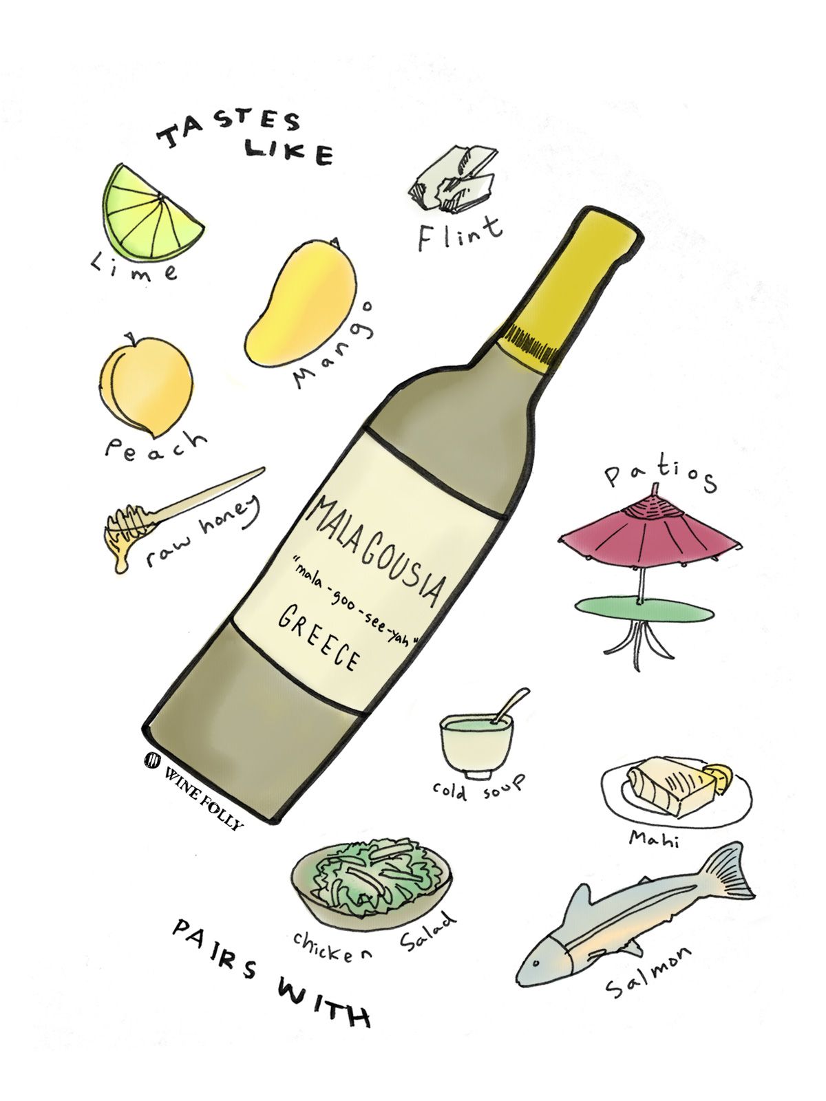 Profil chuti vína Malagousia