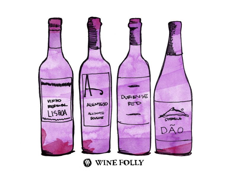 Wine Folly Основното ръководство за виното