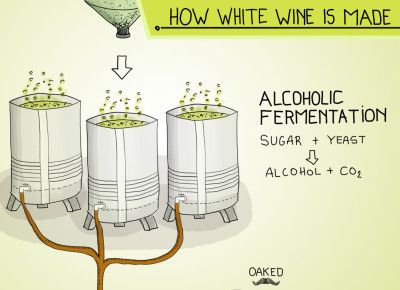 kaip pasigaminti baltojo vyno