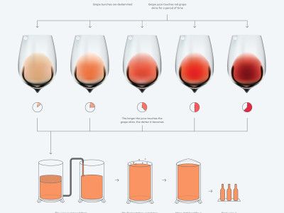 ružové odtiene vína