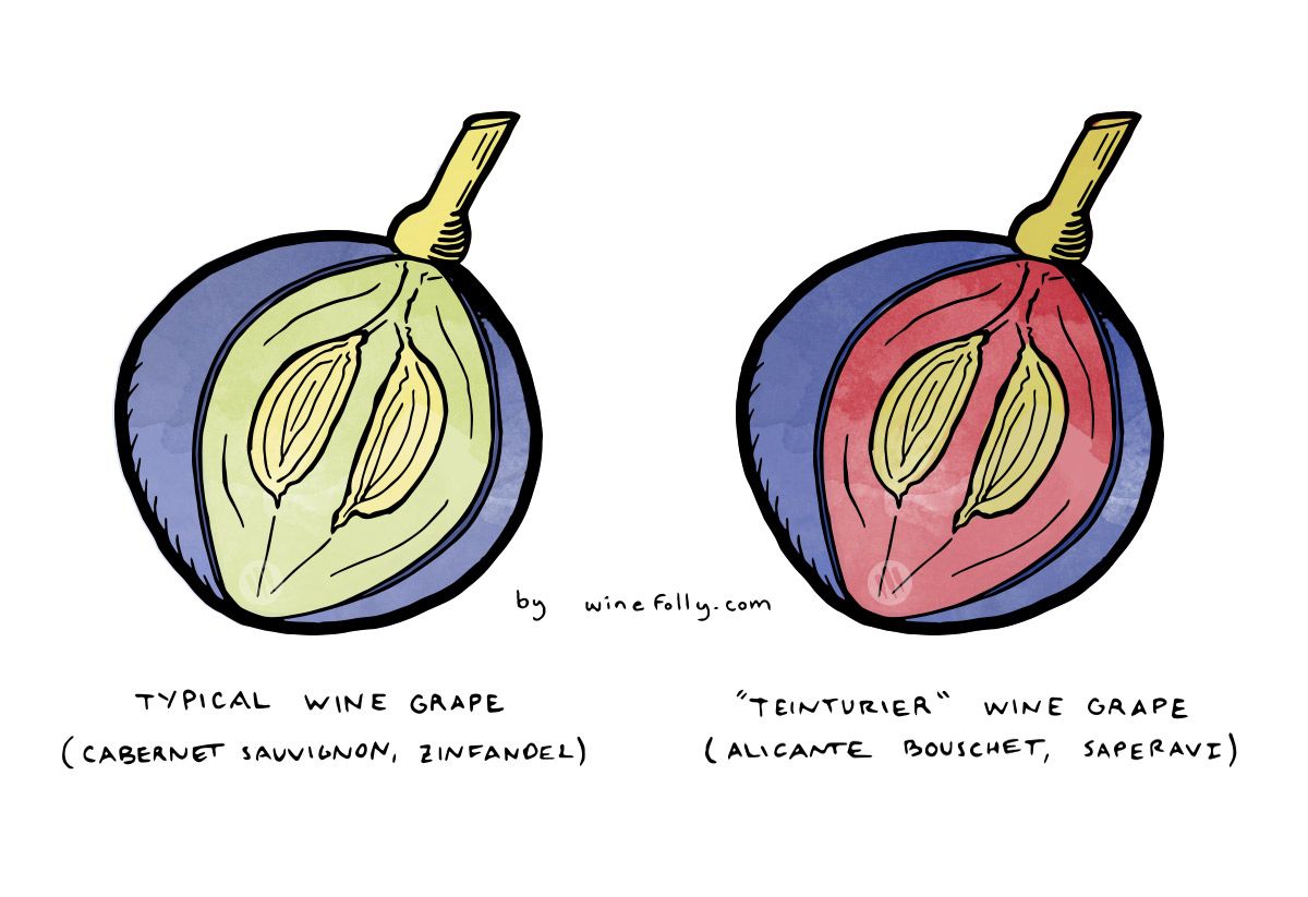 वाइन-अंगूर-इंसिडेंस-टिंटोरर-वाइनफ्लो