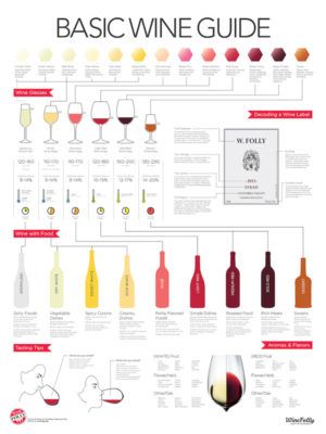 基本的なワインガイドのインフォグラフィック