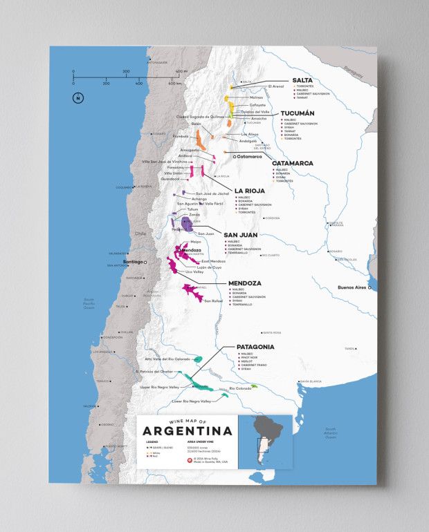 Mapa vín Argentína 12x16 podľa Wine Folly