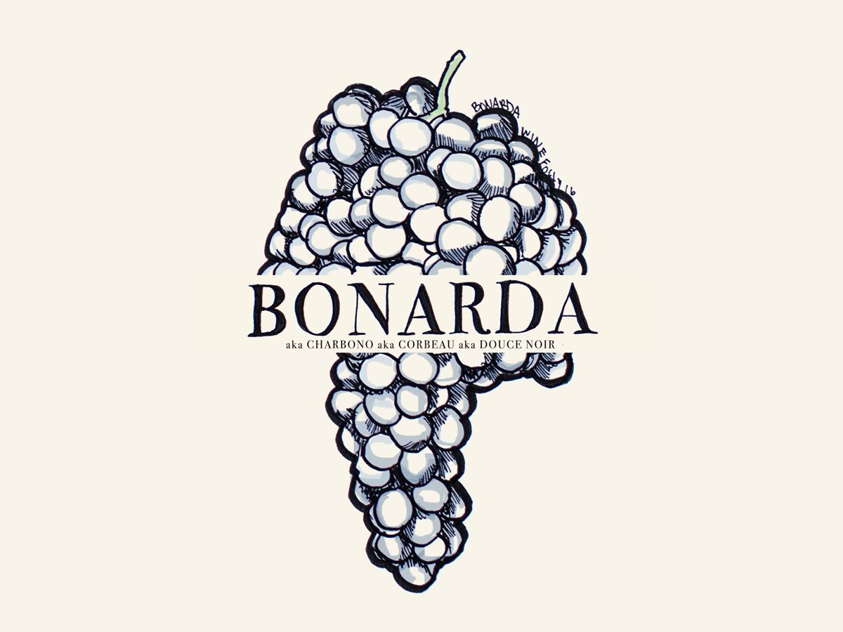 Bonarda (aka Charbono, Corbeau, Douce Noir) vīna vīnogu ilustrācija - Wine Folly