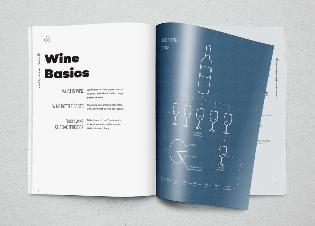 صفحة أساسيات النبيذ كتاب الحماقة