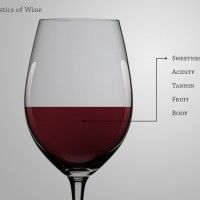 מאפייני יין כיצד לטעום יין