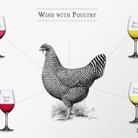 Sammenkobling av vin med kylling og fjærfe