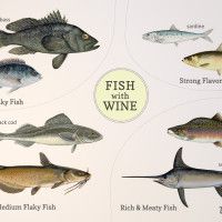 Ryby s vínom