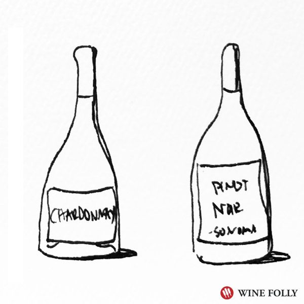 Modri ​​pinot in chardonnay se zelo dobro obneseta s popolnoma belo pico - ilustracija Wine Folly