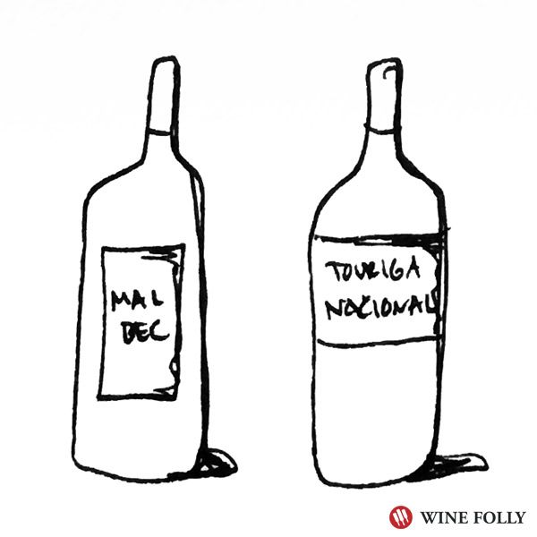 Poiščite drznejše sorte, kot sta malbec in Touriga Nacional, s piščančjo pico z žara - ilustracija steklenic za vino